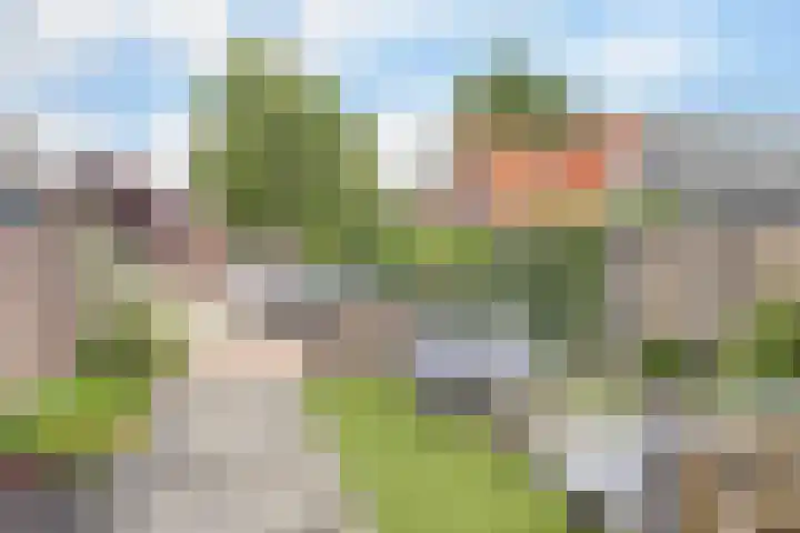 Kleingouw 202 a Andijk thumbnail 35