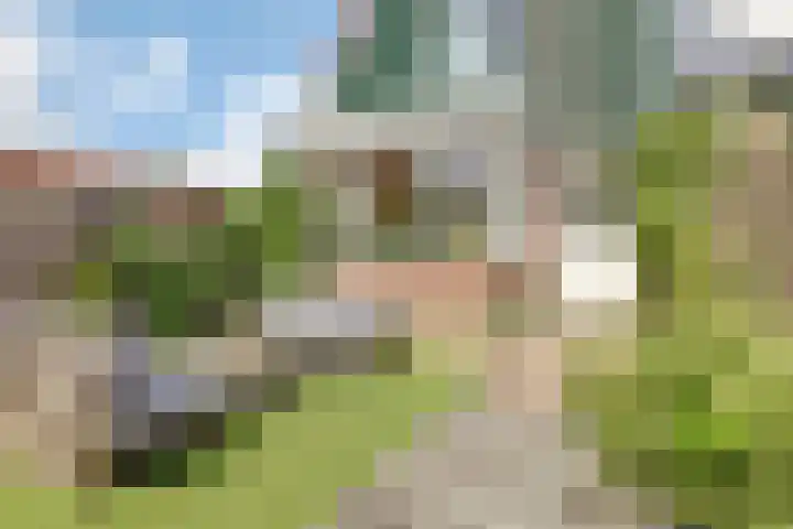 Kleingouw 202 a Andijk thumbnail 36