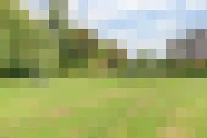 Kleingouw 202 a Andijk thumbnail 38