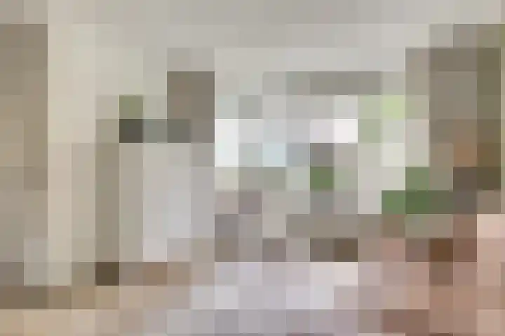 Kleingouw 202 a Andijk thumbnail 4