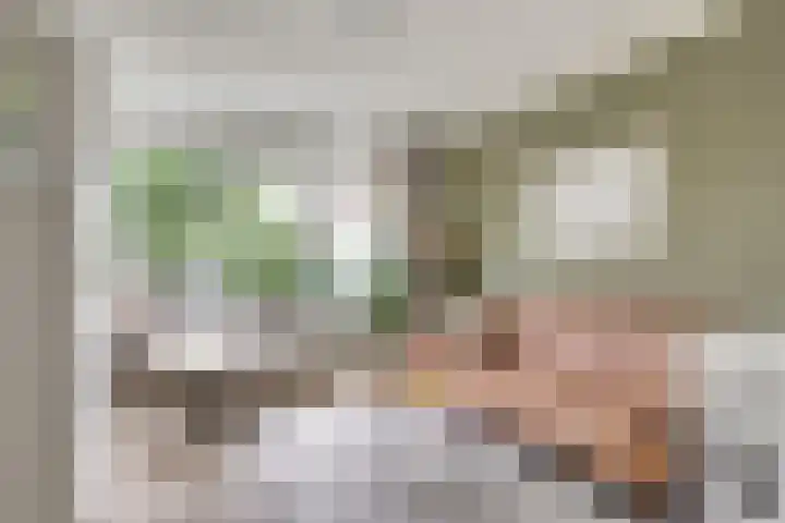 Kleingouw 202 a Andijk thumbnail 6
