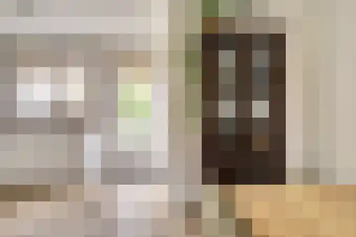 Kleingouw 202 a Andijk thumbnail 8