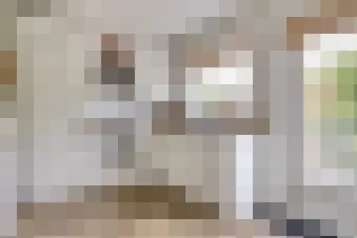 Kleingouw 202 a Andijk thumbnail 9