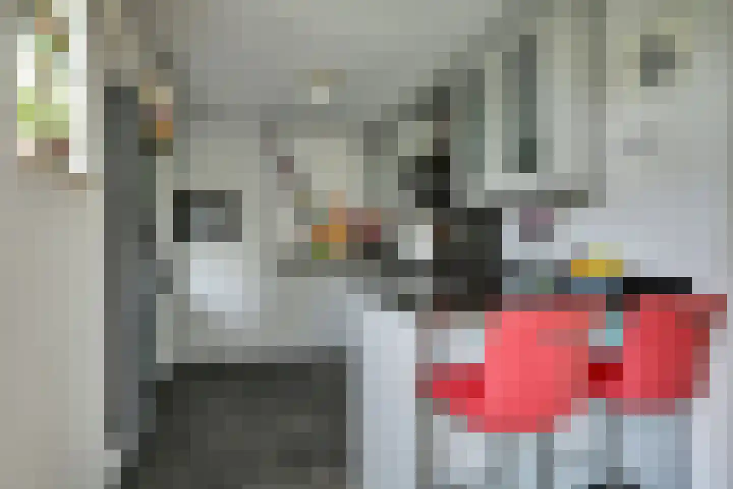 Kleingouw 26 a Andijk thumbnail 10