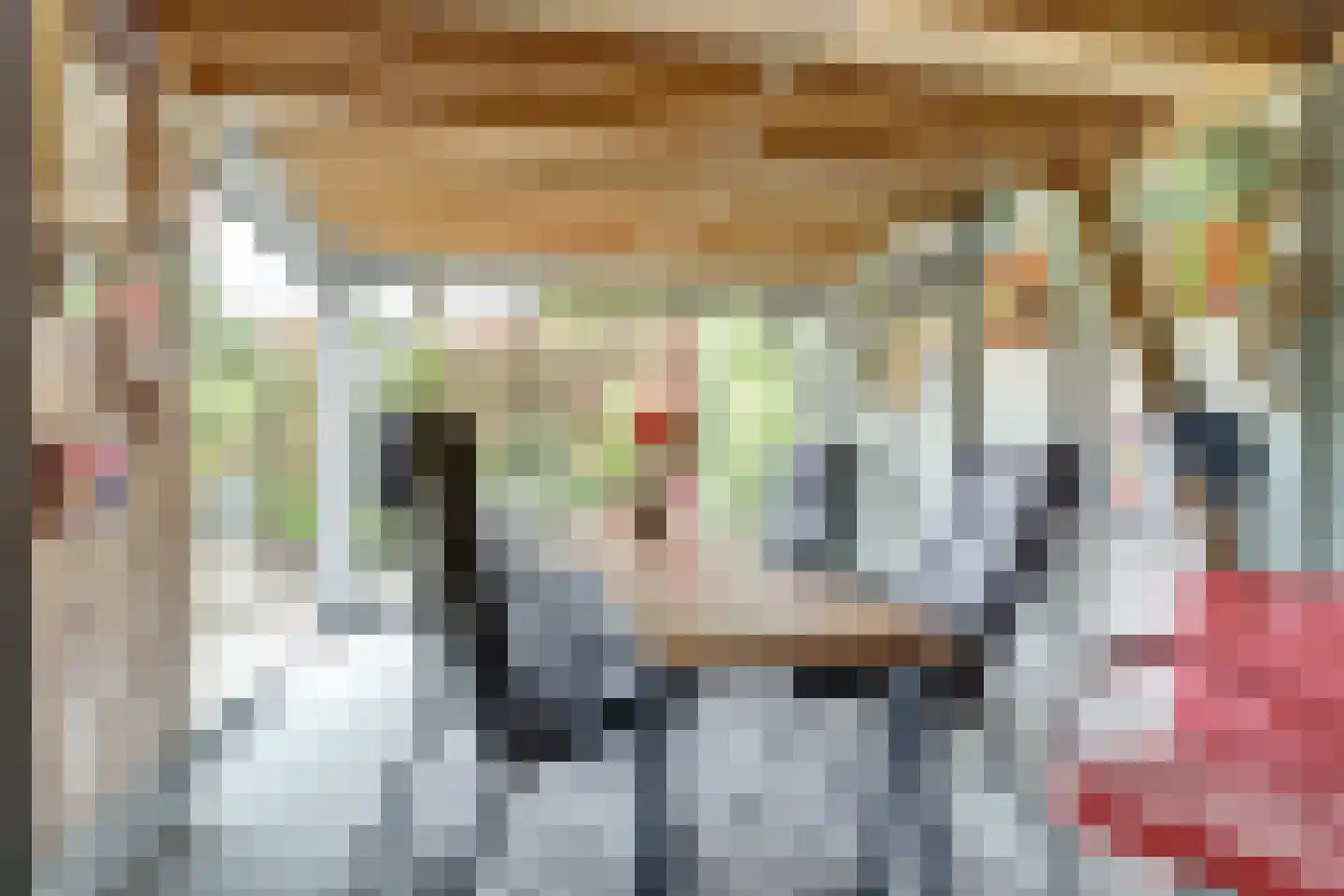 Kleingouw 26 a Andijk thumbnail 29