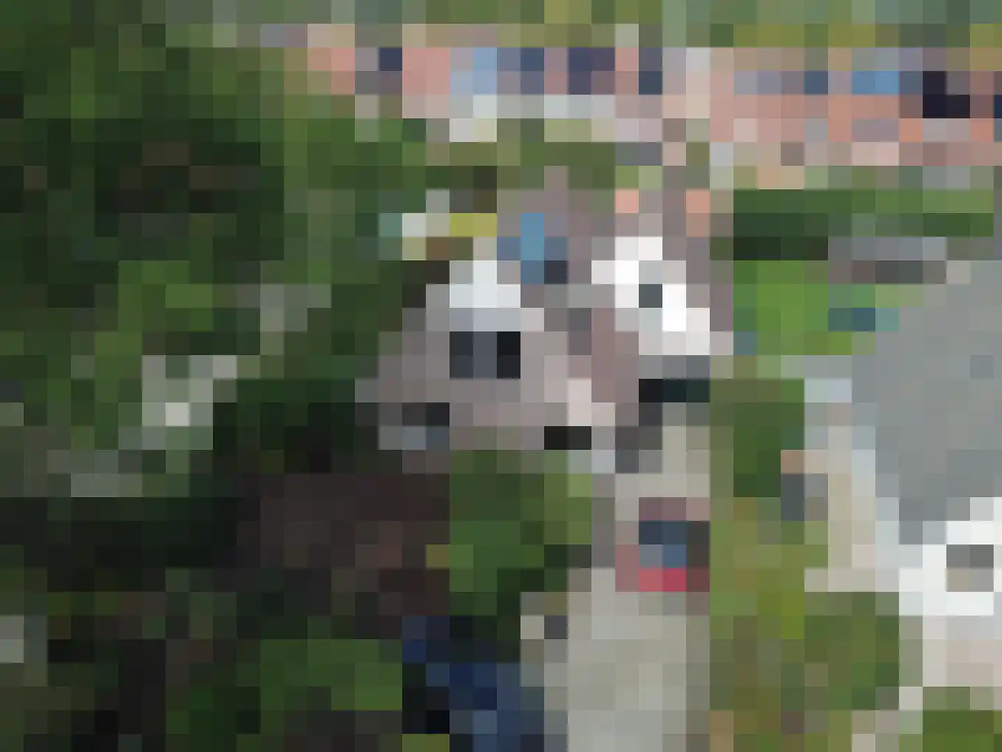 Kleingouw 26 a Andijk thumbnail 31