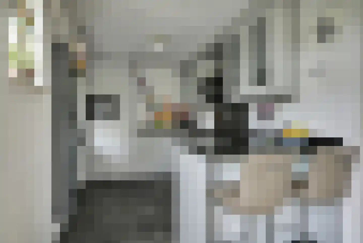 Kleingouw 26 a Andijk thumbnail 4