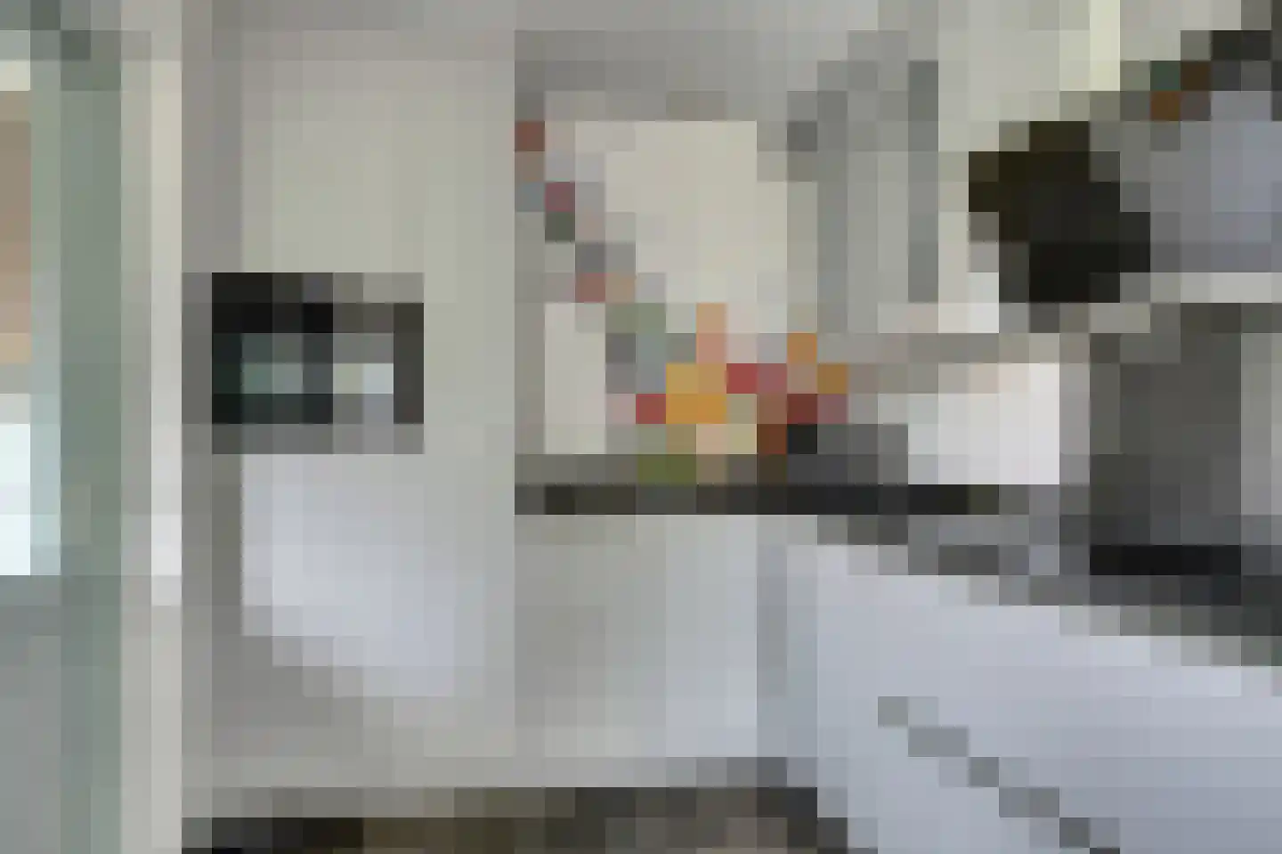 Kleingouw 26 a Andijk thumbnail 5