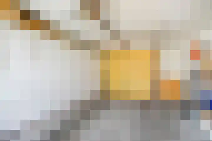 Kleingouw 36 a Andijk thumbnail 11