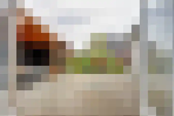 Kleingouw 36 a Andijk thumbnail 22