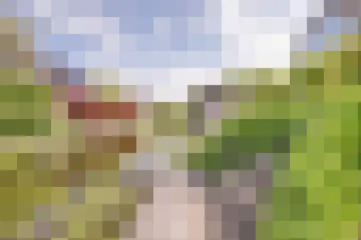 Kleingouw 36 a Andijk thumbnail 26