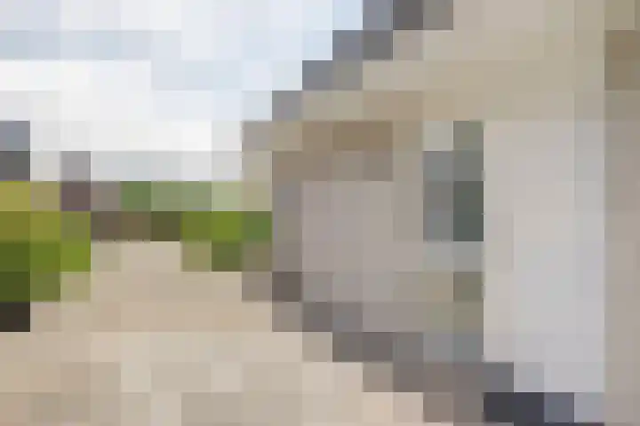 Kleingouw 36 a Andijk thumbnail 27