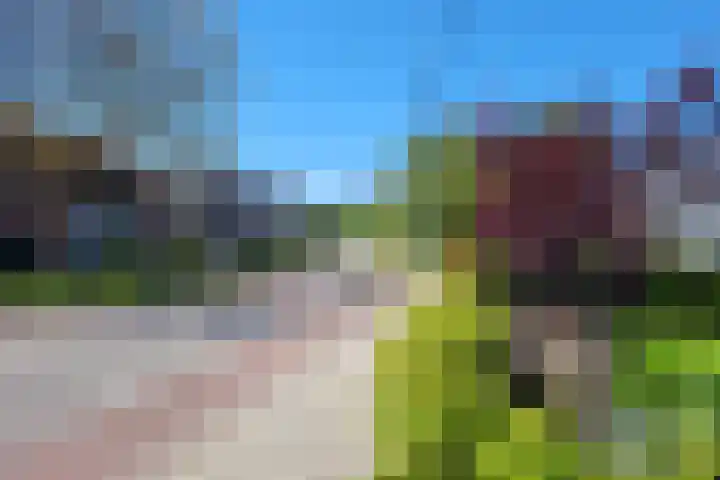 Kleingouw 36 a Andijk thumbnail 29