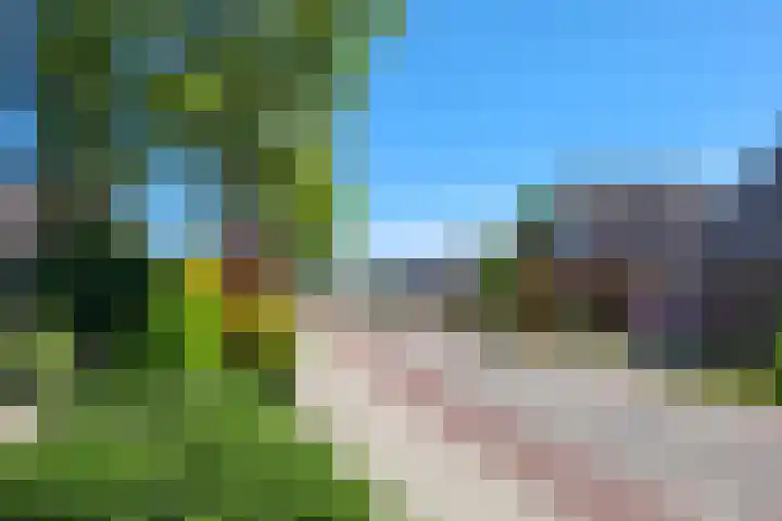 Kleingouw 36 a Andijk thumbnail 30