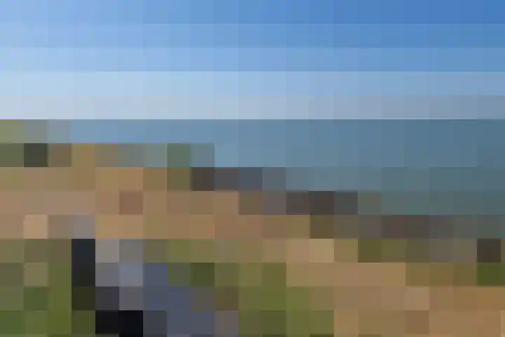 Kleingouw 36 a Andijk thumbnail 31