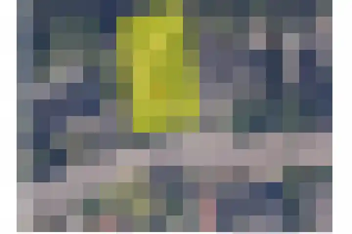 Kleingouw 36 a Andijk thumbnail 33