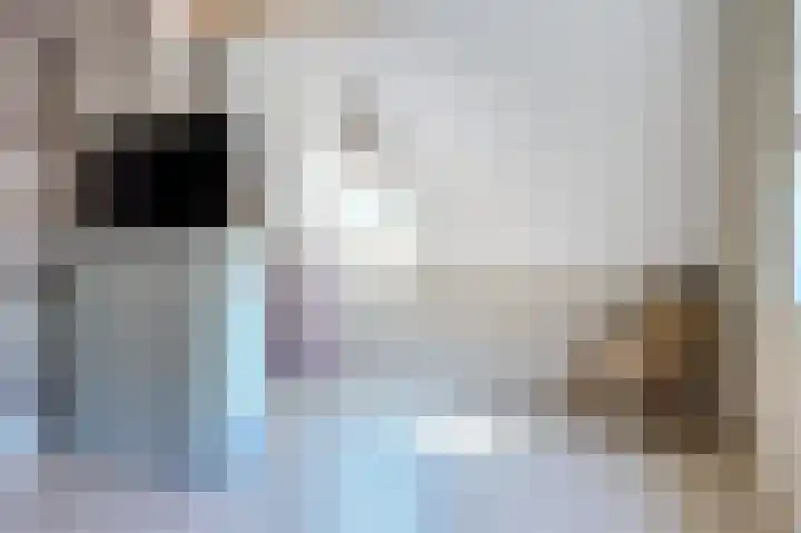 Kleingouw 60 Andijk thumbnail 16
