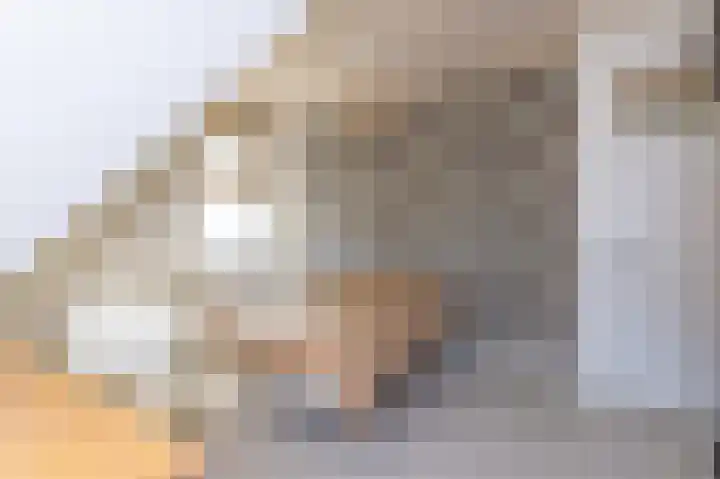 Kleingouw 60 Andijk thumbnail 17