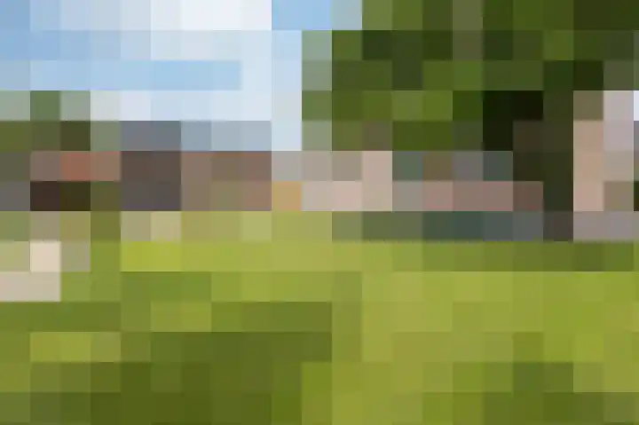 Kleingouw 60 Andijk thumbnail 25