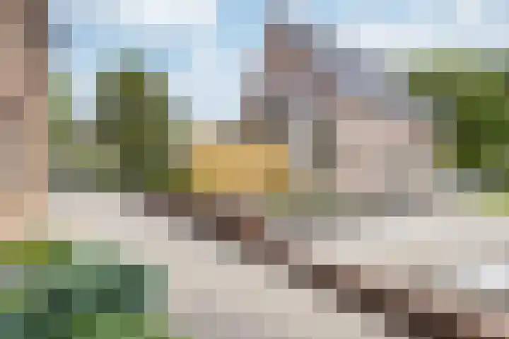 Kleingouw 60 Andijk thumbnail 26