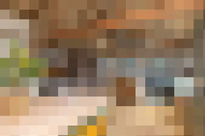 Kleingouw 60 Andijk thumbnail 31