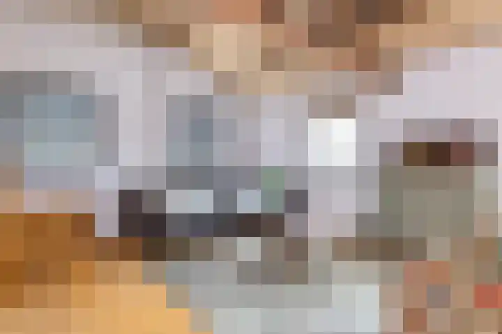 Kleingouw 60 Andijk thumbnail 34