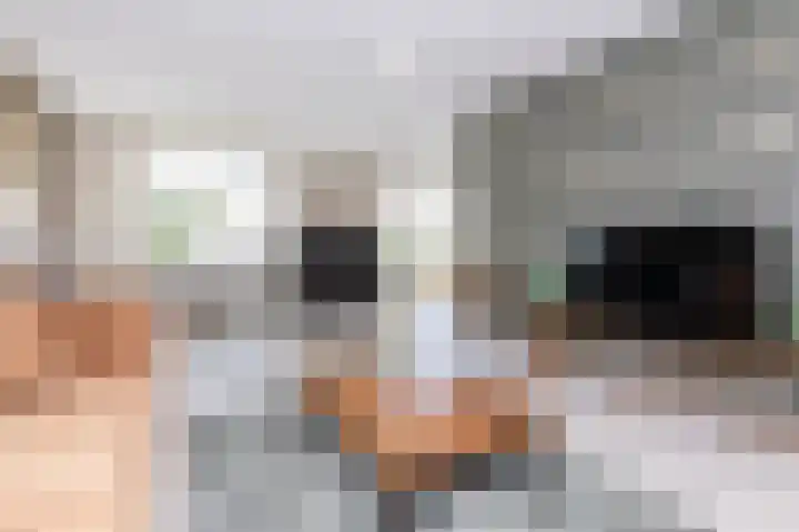 Kleingouw 60 Andijk thumbnail 7