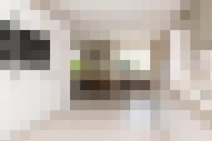Kleingouw 60 Andijk thumbnail 9
