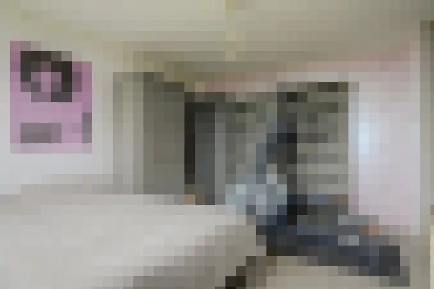 Kleingouw 62 Andijk thumbnail 15