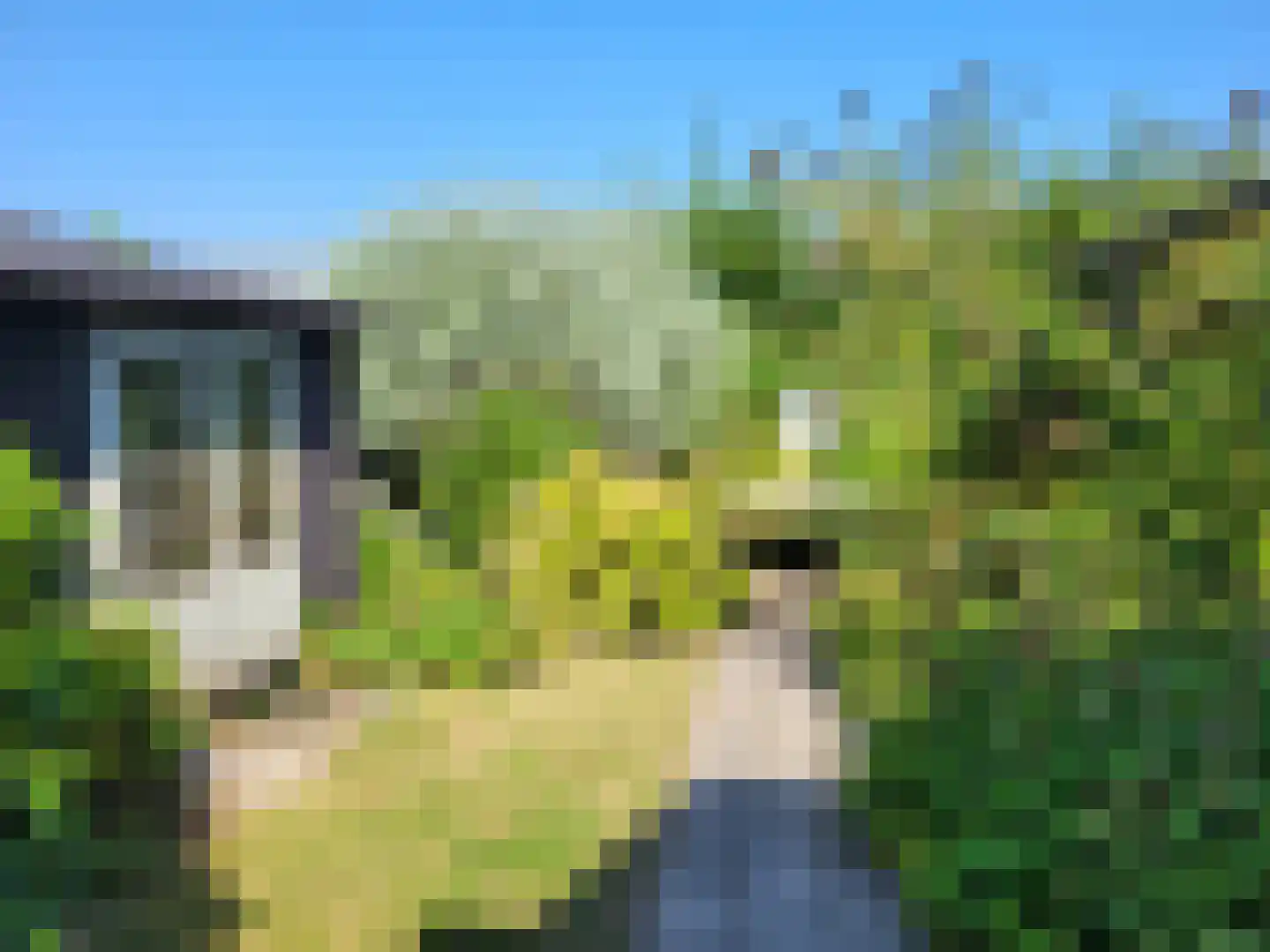 Kleingouw 62 Andijk thumbnail 35