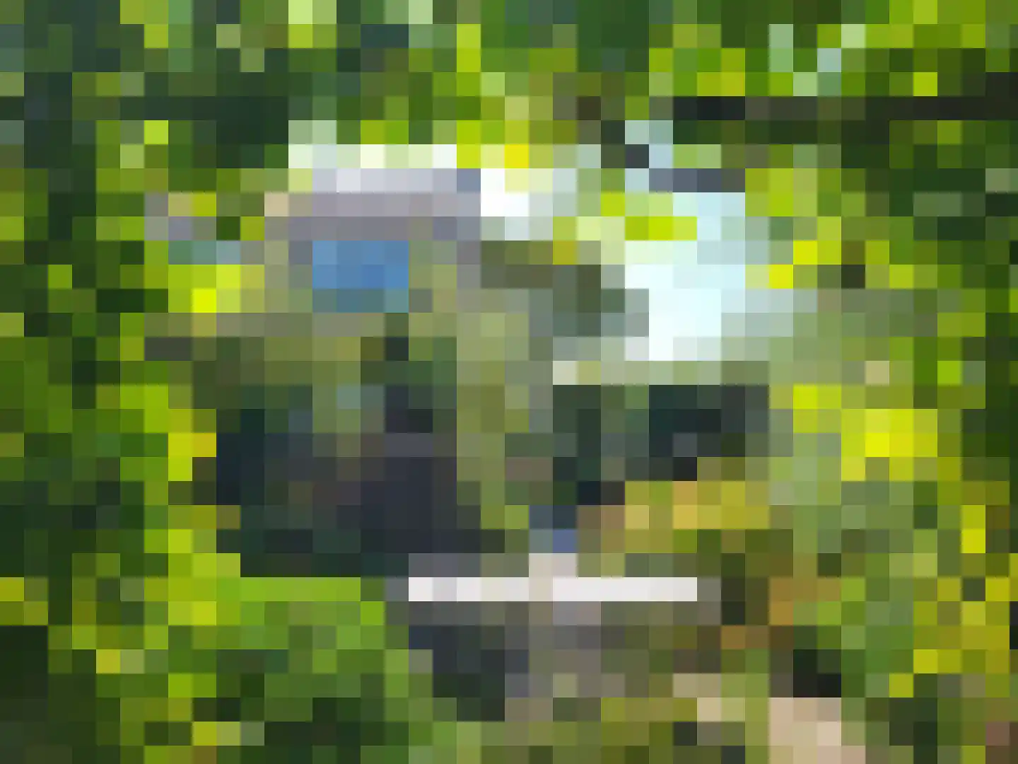 Kleingouw 62 Andijk thumbnail 36