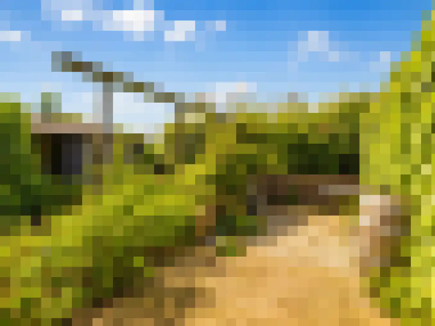 Kleingouw 62 Andijk thumbnail 37