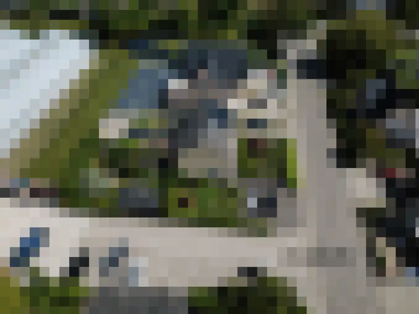 Kleingouw 62 Andijk thumbnail 43