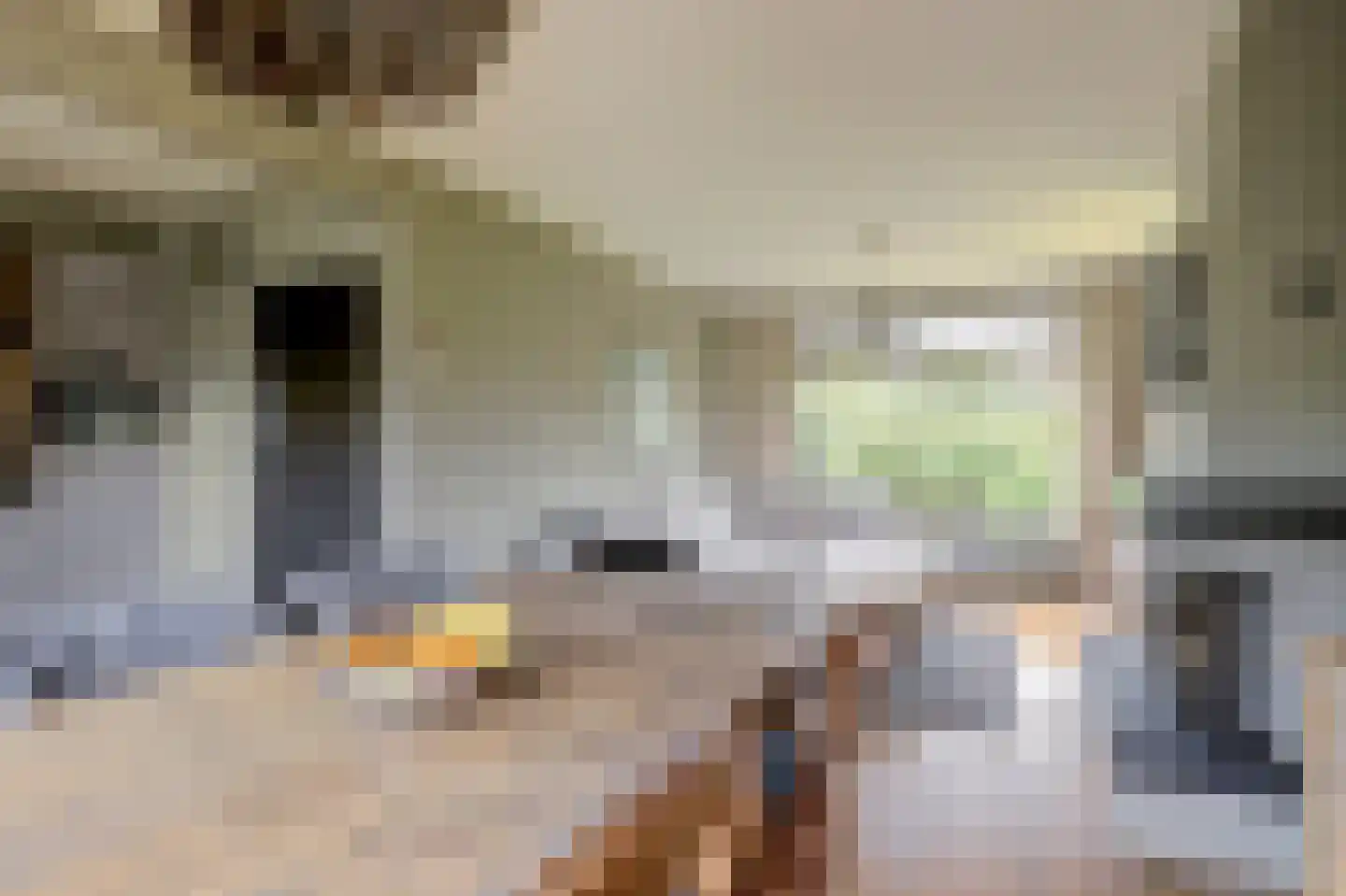 Kleingouw 62 Andijk thumbnail 5