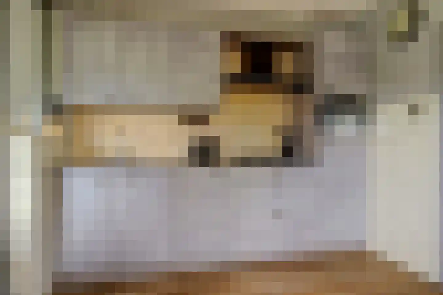 Kleingouw 62 Andijk thumbnail 6