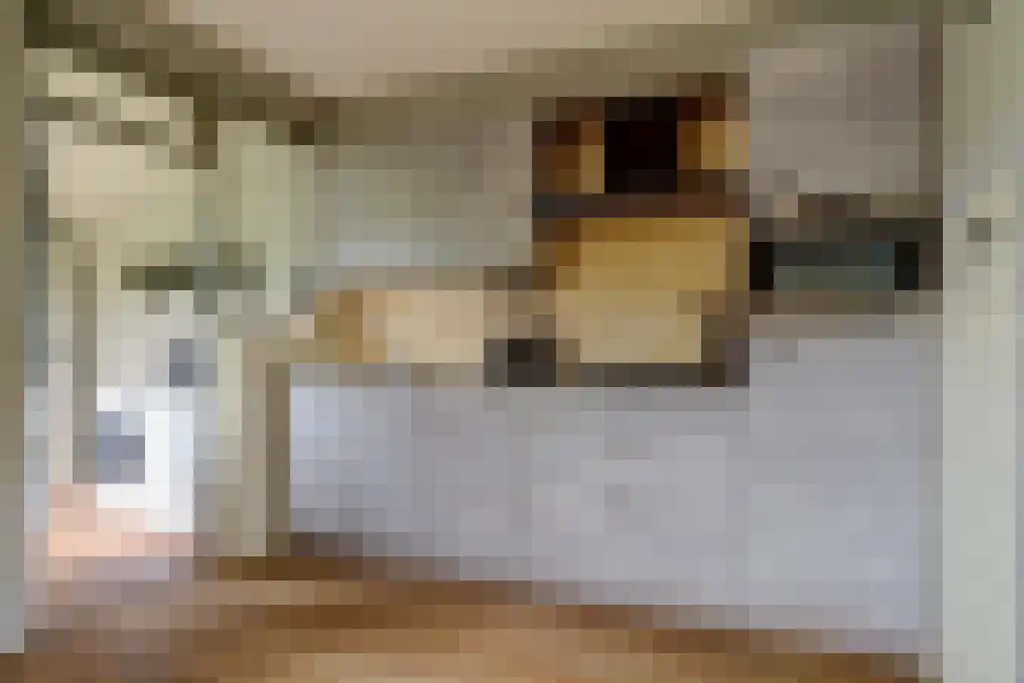 Kleingouw 62 Andijk thumbnail 7