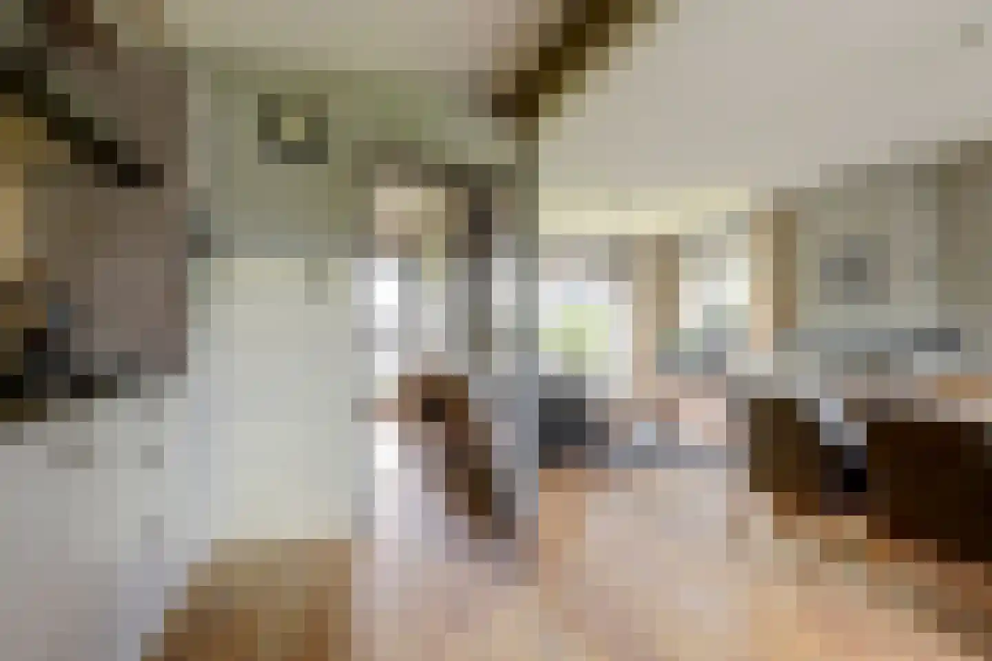 Kleingouw 62 Andijk thumbnail 8