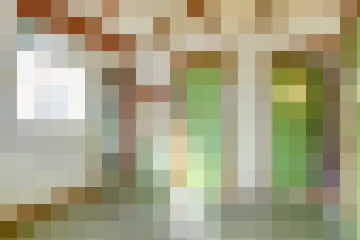 Kleingouw 83 Andijk thumbnail 11