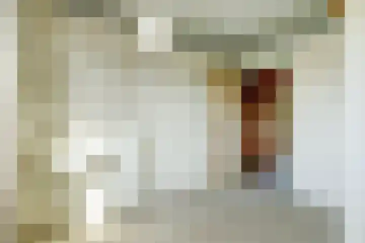 Kleingouw 83 Andijk thumbnail 19