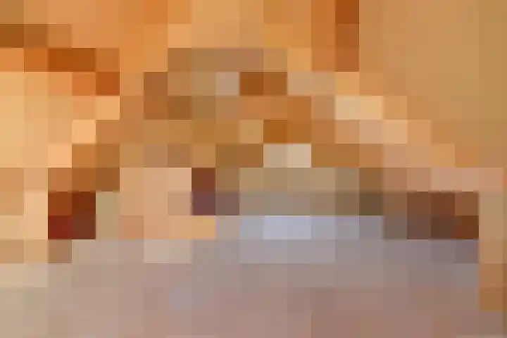 Kleingouw 83 Andijk thumbnail 25