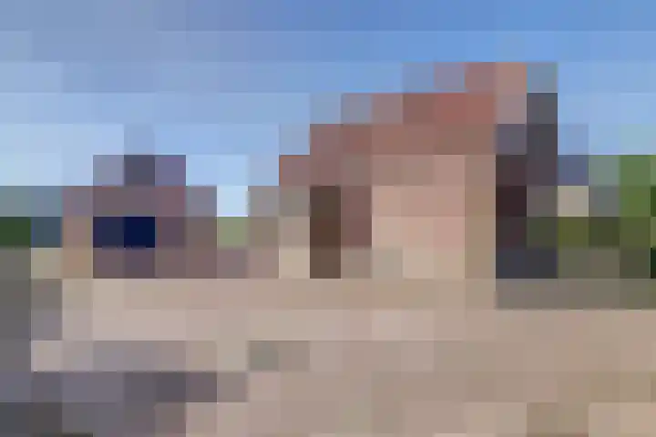 Kleingouw 83 Andijk thumbnail 32