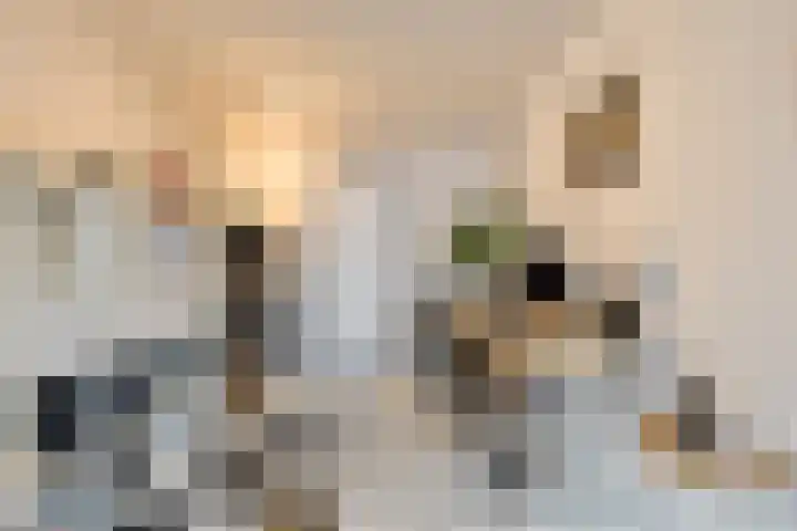 Kleingraverstraat 97 Kerkrade thumbnail 6