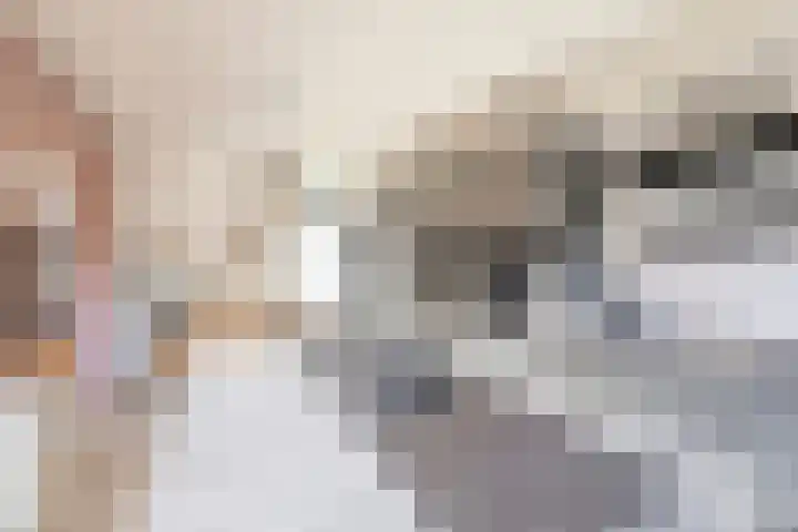 Kleingraverstraat 97 Kerkrade thumbnail 9