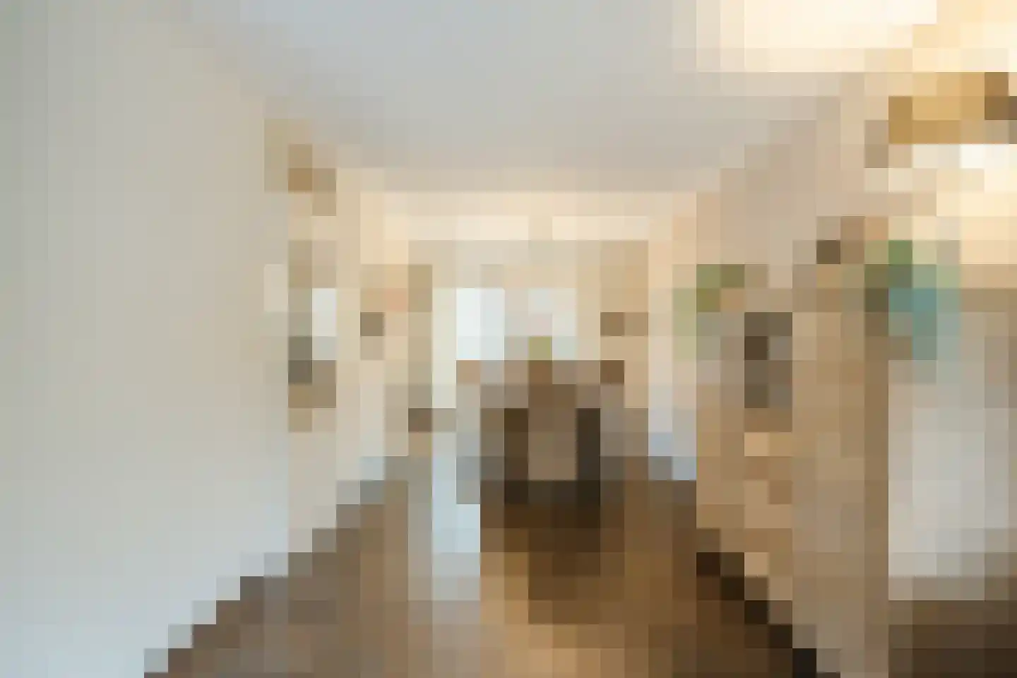 Kleinhaar 22 Kloosterhaar thumbnail 11