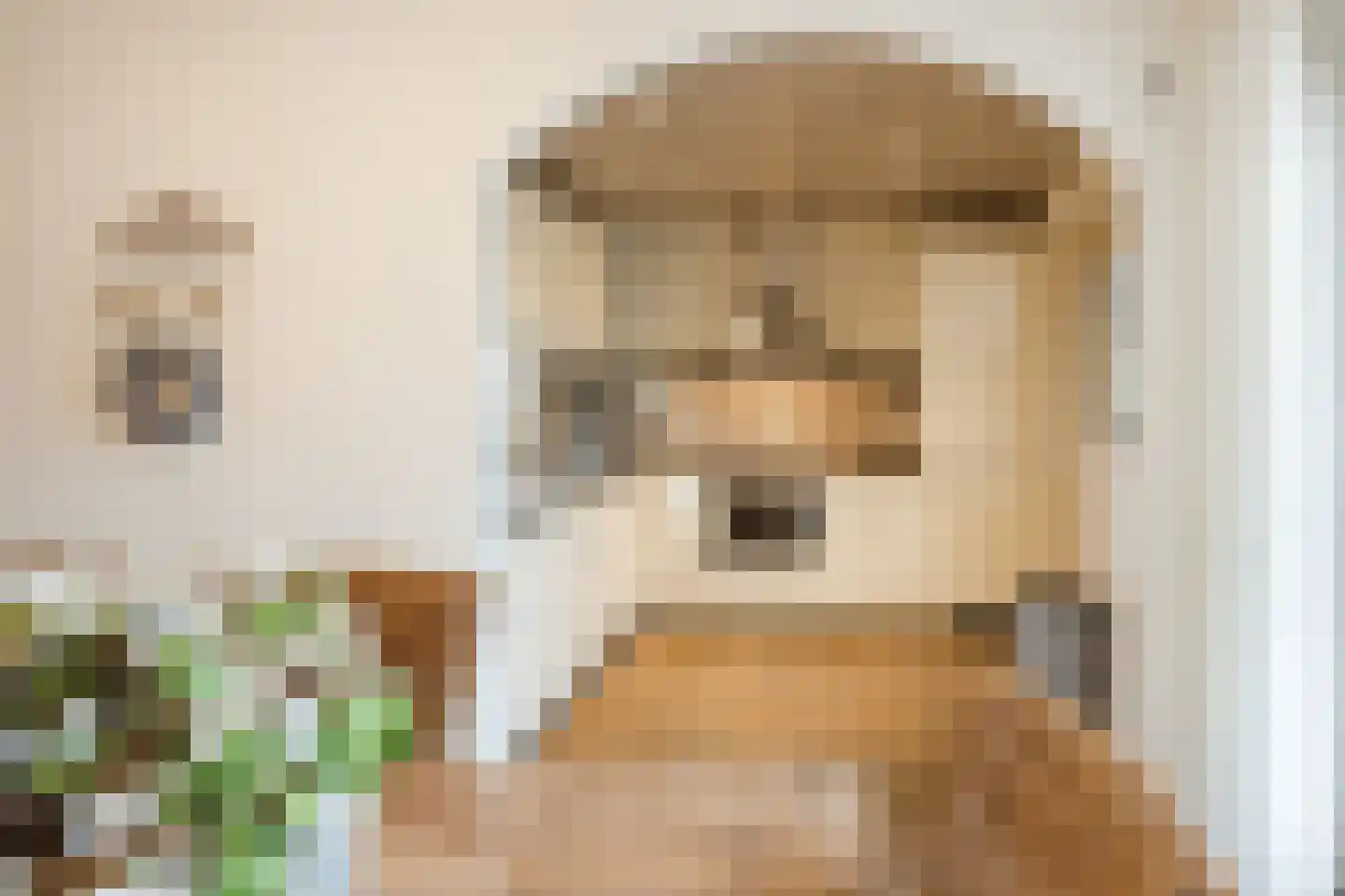 Kleinhaar 22 Kloosterhaar thumbnail 14
