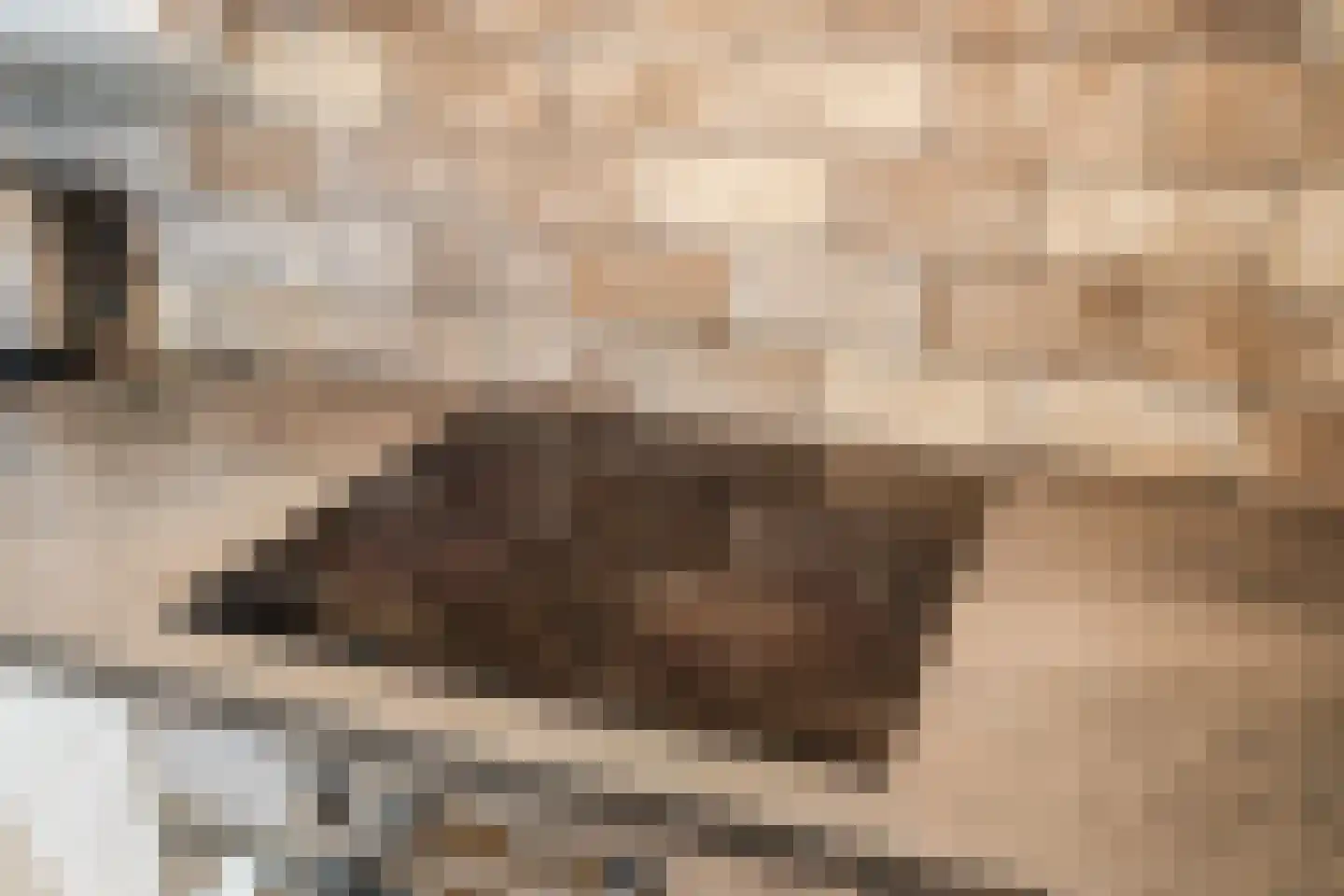 Kleinhaar 22 Kloosterhaar thumbnail 16