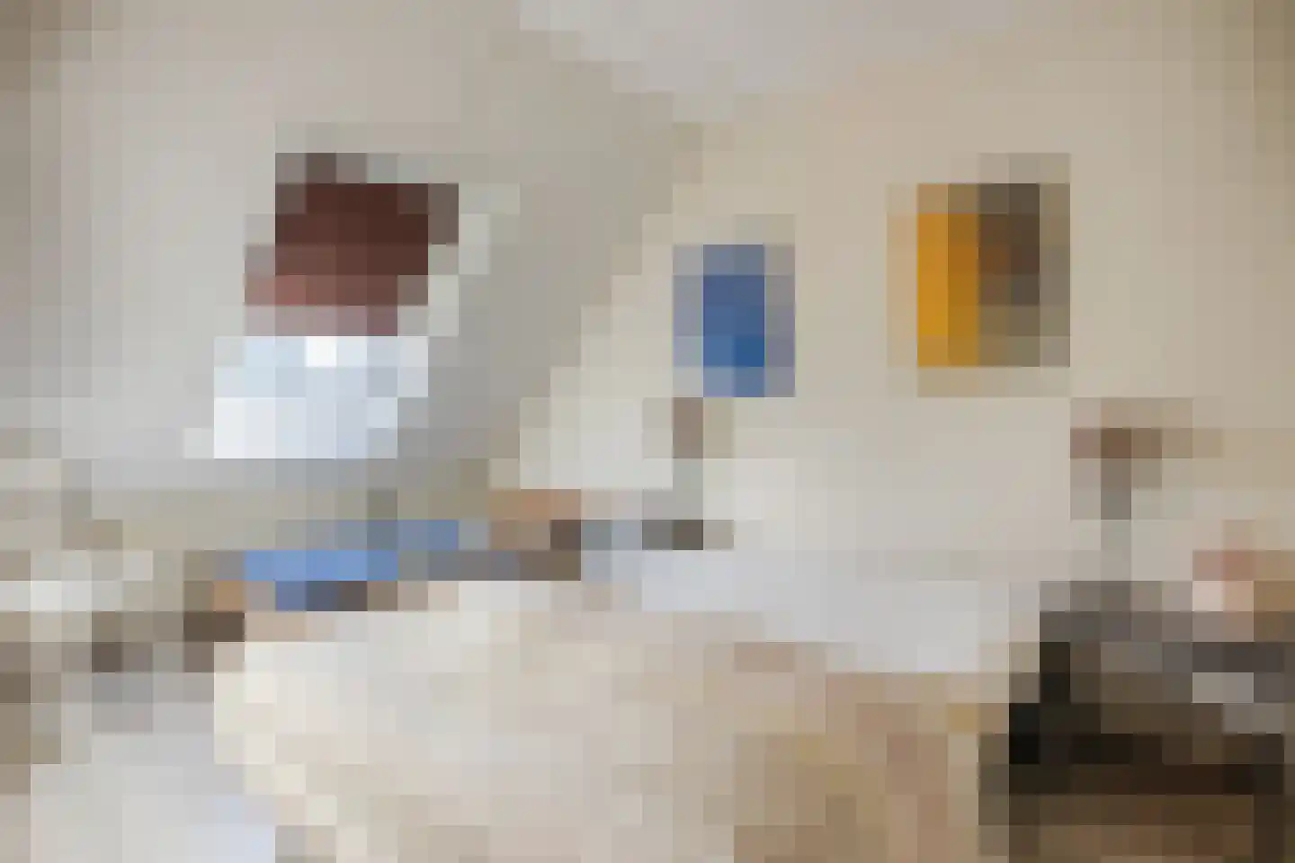 Kleinhaar 22 Kloosterhaar thumbnail 29