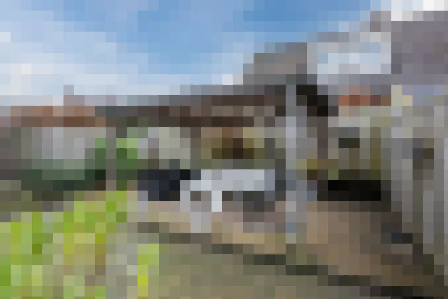 Kleinhaar 22 Kloosterhaar thumbnail 37