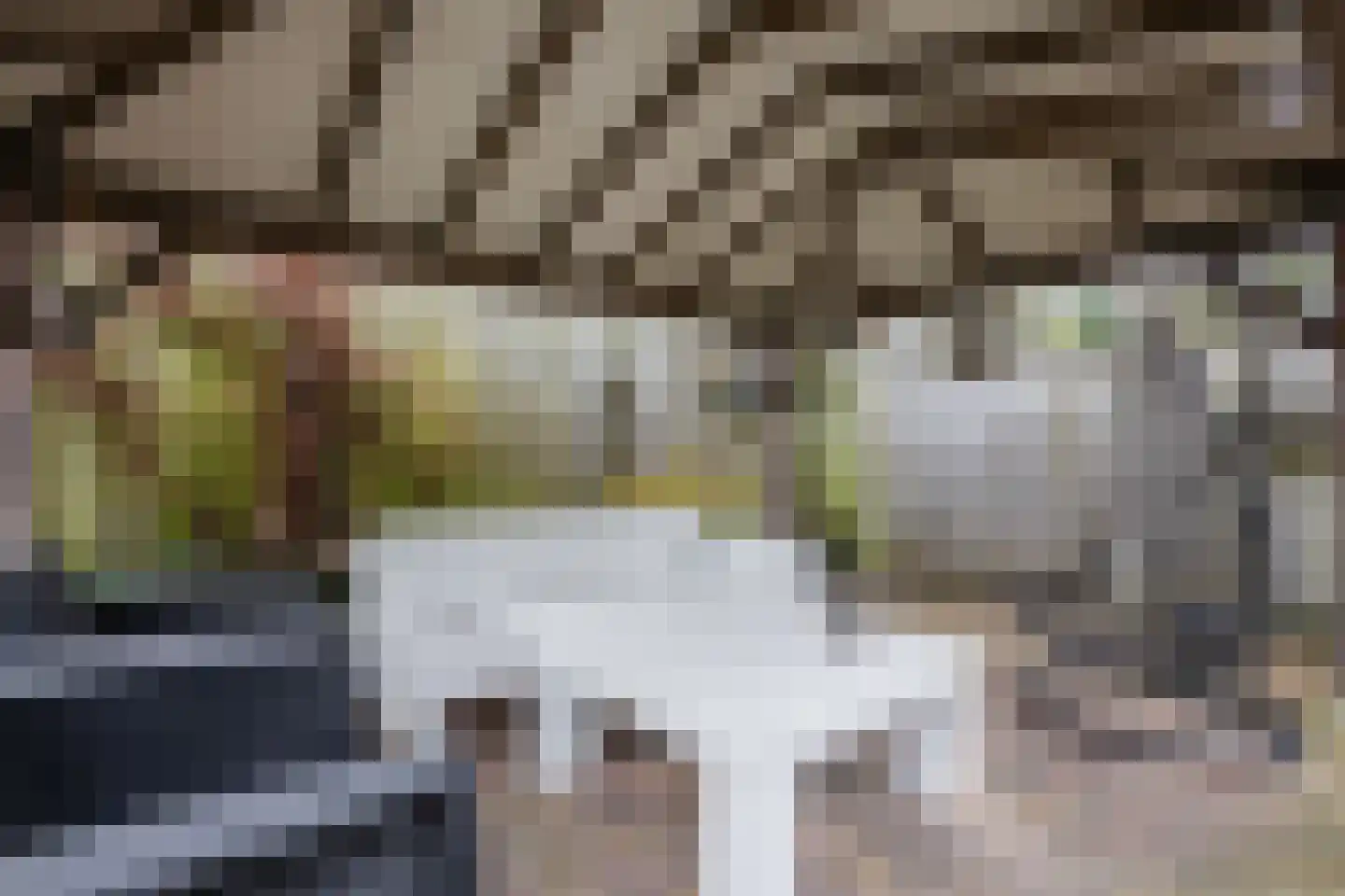 Kleinhaar 22 Kloosterhaar thumbnail 39