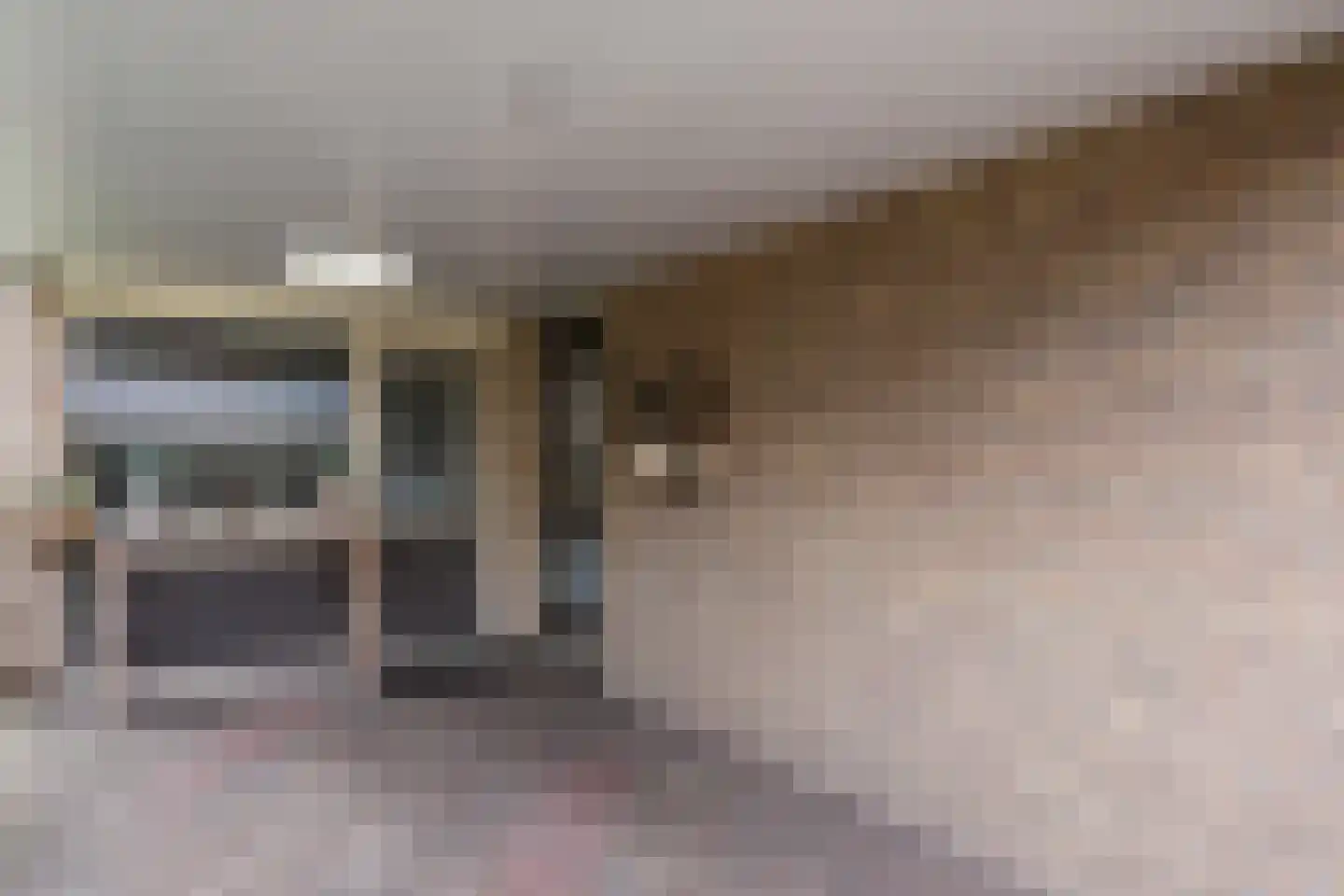 Kleinhaar 22 Kloosterhaar thumbnail 44